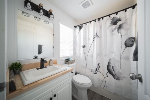 213 Mitchell Drive, Fort Mcmurray, AB - Indoor Photo Showing Bathroom