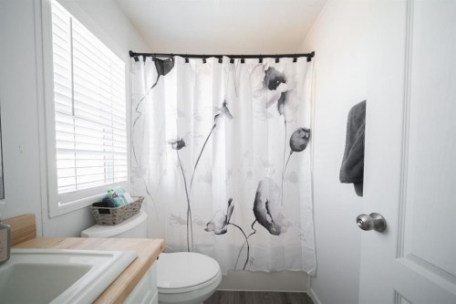 213 Mitchell Drive, Fort Mcmurray, AB - Indoor Photo Showing Bathroom