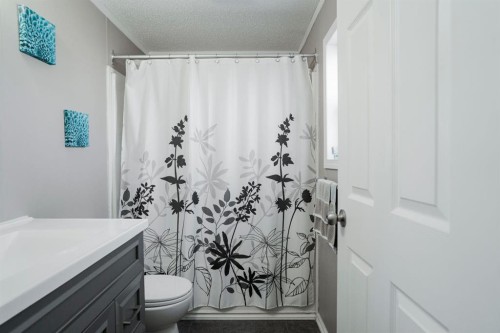 164 Balsam Way, Fort Mcmurray, AB - Indoor Photo Showing Bathroom