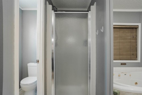 164 Balsam Way, Fort Mcmurray, AB - Indoor Photo Showing Bathroom