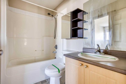258 Fox Crescent, Fort Mcmurray, AB - Indoor Photo Showing Bathroom