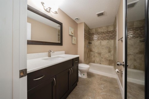 336 Ermine Crescent, Fort Mcmurray, AB - Indoor Photo Showing Bathroom