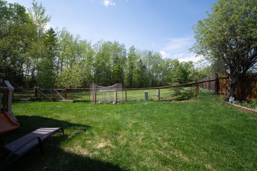 336 Ermine Crescent, Fort Mcmurray, AB - Outdoor With Backyard