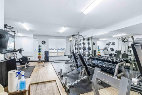 108-136B Sandpiper Road, Fort Mcmurray, AB - Indoor Photo Showing Gym Room