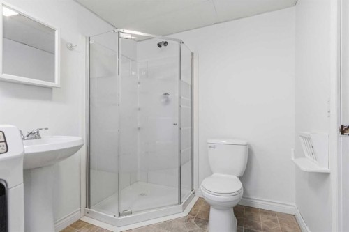 202 Bird Crescent, Fort Mcmurray, AB - Indoor Photo Showing Bathroom