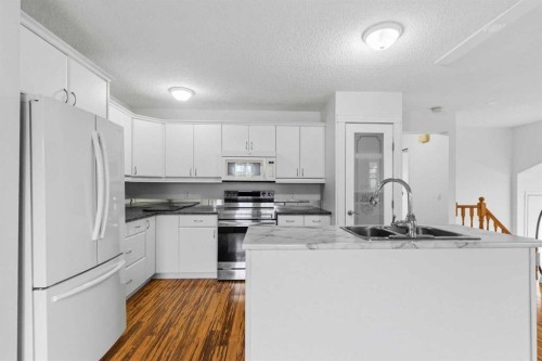 202 Bird Crescent, Fort Mcmurray, AB - Indoor Photo Showing Kitchen With Double Sink