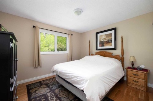 117 Goodwin Place, Fort Mcmurray, AB - Indoor Photo Showing Bedroom