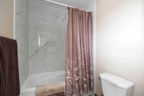 117 Goodwin Place, Fort Mcmurray, AB - Indoor Photo Showing Bathroom