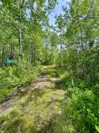 294-63303 867 Highway Rural Lac La Biche County, AB T0A 2C0