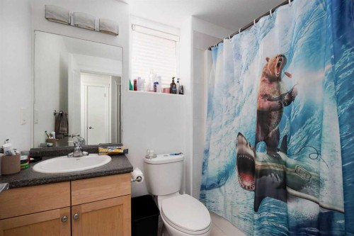248 Hawthorn Way, Fort Mcmurray, AB - Indoor Photo Showing Bathroom