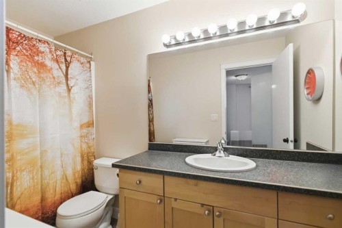 132 Crane Rise, Fort Mcmurray, AB - Indoor Photo Showing Bathroom
