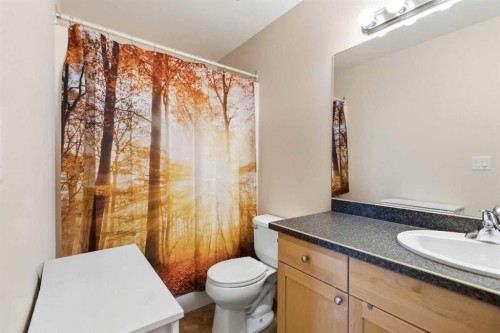 132 Crane Rise, Fort Mcmurray, AB - Indoor Photo Showing Bathroom