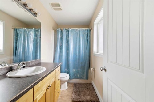 132 Crane Rise, Fort Mcmurray, AB - Indoor Photo Showing Bathroom