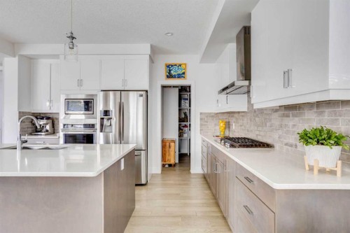 169 Beaveridge Close, Fort Mcmurray, AB - Indoor Photo Showing Kitchen With Upgraded Kitchen