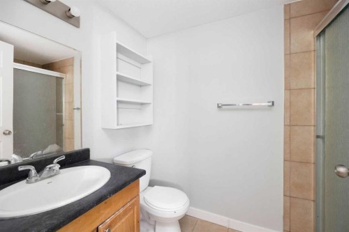 181 Grouse Way, Fort Mcmurray, AB - Indoor Photo Showing Bathroom