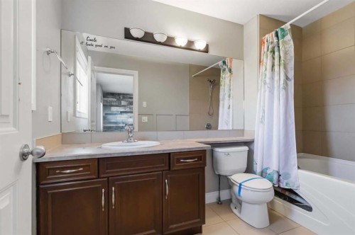 173 Coyote Crescent, Fort Mcmurray, AB - Indoor Photo Showing Bathroom