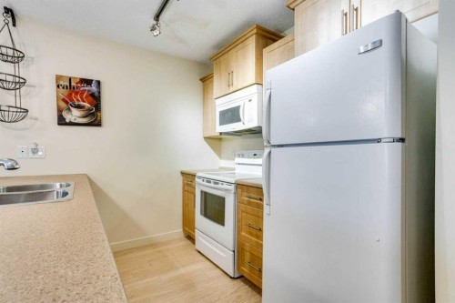 2103-204 Sparrow Hawk Drive, Fort Mcmurray, AB - Indoor Photo Showing Kitchen With Double Sink