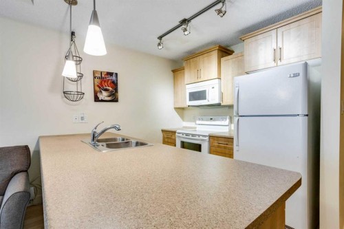 2103-204 Sparrow Hawk Drive, Fort Mcmurray, AB - Indoor Photo Showing Kitchen With Double Sink