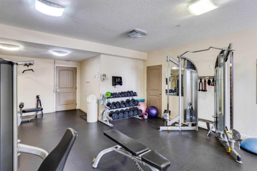 2103-204 Sparrow Hawk Drive, Fort Mcmurray, AB - Indoor Photo Showing Gym Room