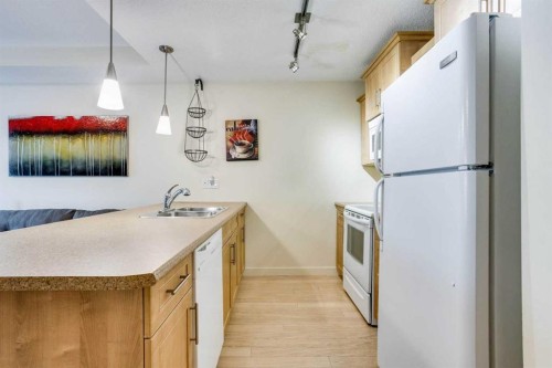 2103-204 Sparrow Hawk Drive, Fort Mcmurray, AB - Indoor Photo Showing Kitchen With Double Sink