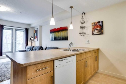 2103-204 Sparrow Hawk Drive, Fort Mcmurray, AB - Indoor Photo Showing Kitchen With Double Sink