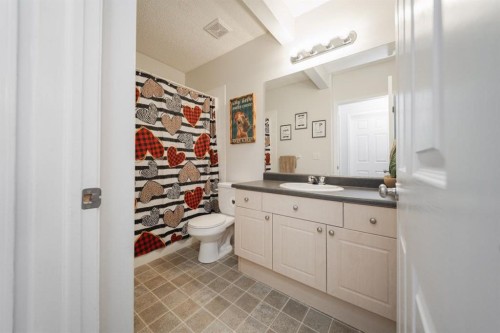 100 Bruin Bay, Fort Mcmurray, AB - Indoor Photo Showing Bathroom