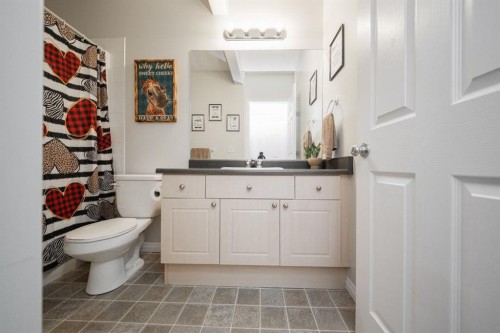 100 Bruin Bay, Fort Mcmurray, AB - Indoor Photo Showing Bathroom