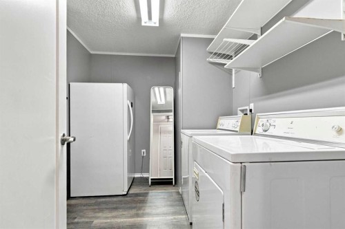 173 Cree Road, Fort Mcmurray, AB - Indoor Photo Showing Laundry Room
