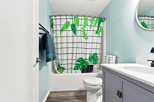 173 Cree Road, Fort Mcmurray, AB - Indoor Photo Showing Bathroom