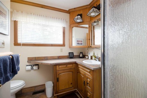 223 Labonte Drive, Rural Athabasca County, AB - Indoor Photo Showing Bathroom