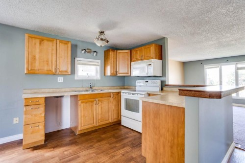 368 Grey Crescent, Fort Mcmurray, AB - Indoor Photo Showing Kitchen