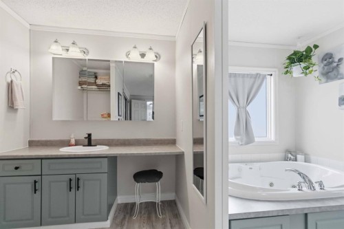 105 Sumac Crescent, Fort Mcmurray, AB - Indoor Photo Showing Bathroom