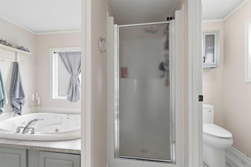 105 Sumac Crescent, Fort Mcmurray, AB - Indoor Photo Showing Bathroom