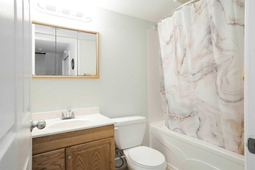 213 Parry Crescent, Fort Mcmurray, AB - Indoor Photo Showing Bathroom