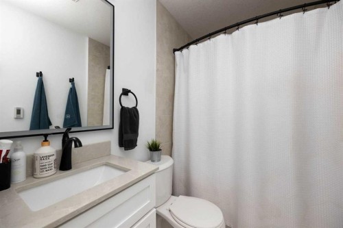 188 Pinnacle Place, Fort Mcmurray, AB - Indoor Photo Showing Bathroom