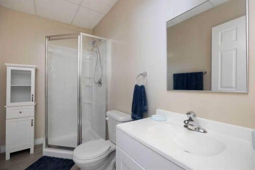 168 Lightbown Way, Fort Mcmurray, AB - Indoor Photo Showing Bathroom