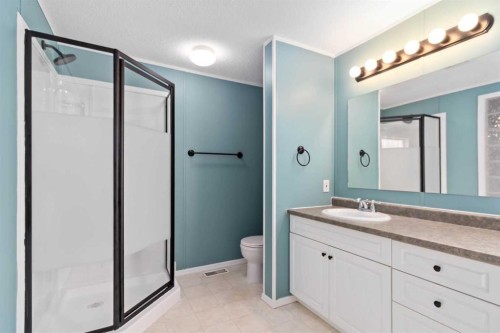 240 Mckinlay Crescent, Fort Mcmurray, AB - Indoor Photo Showing Bathroom