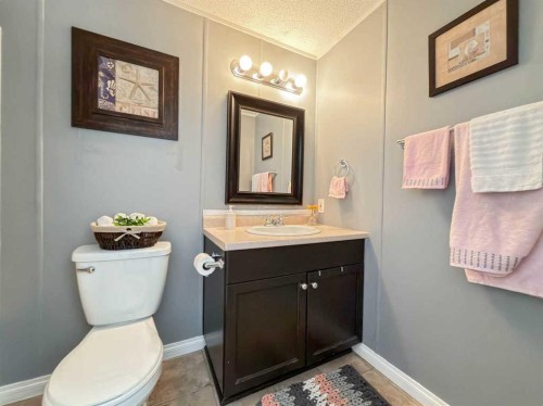 373 Harpe Way, Fort Mcmurray, AB - Indoor Photo Showing Bathroom