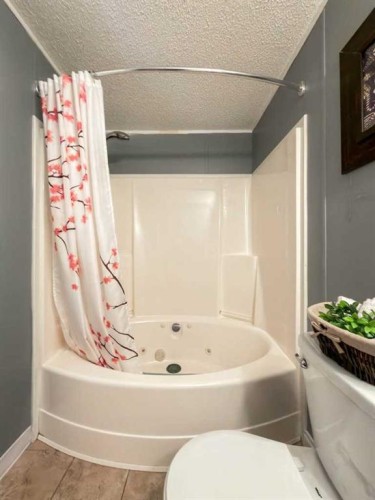 373 Harpe Way, Fort Mcmurray, AB - Indoor Photo Showing Bathroom