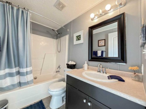 373 Harpe Way, Fort Mcmurray, AB - Indoor Photo Showing Bathroom