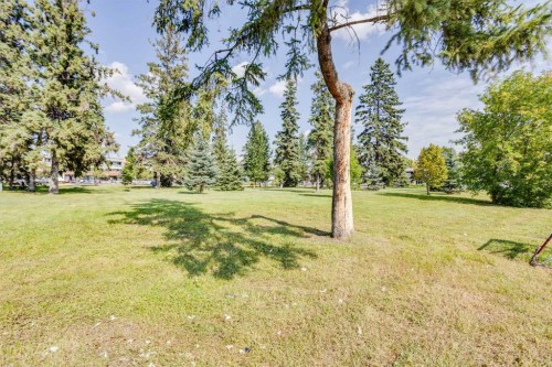 33 Poplar Crescent, Fort Mcmurray, AB 