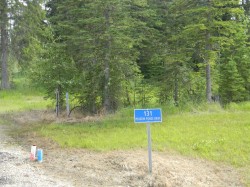 131 Meadow Ponds Drive  Rural Clearwater County, AB T4T 1A7