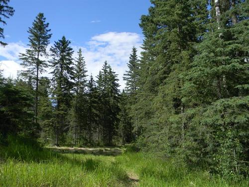 140 Meadow Ponds Drive, Rural Clearwater County, AB 