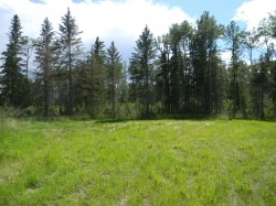 115 Meadow Ponds Drive  Rural Clearwater County, AB T4T 1A7