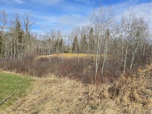 125 Wolf Run Drive, Rural Ponoka County, AB 