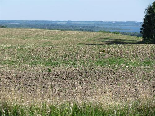 Lot 3-420054 Range Road, Rimbey, AB 