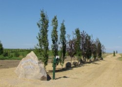 Lot 12-420054 Range Road 283  Rimbey, AB T0C 2J0