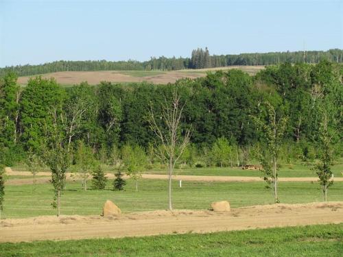 Lot 12-420054 Range Road 283, Rimbey, AB 