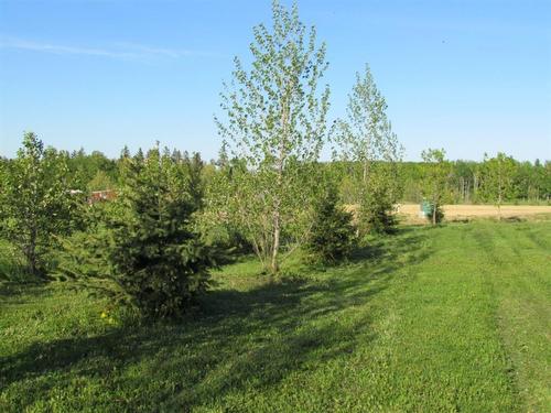 Lot 12-420054 Range Road 283, Rimbey, AB 