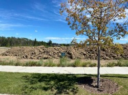 3 Sweetgrass Place  Sylvan Lake, AB T4S 0S5